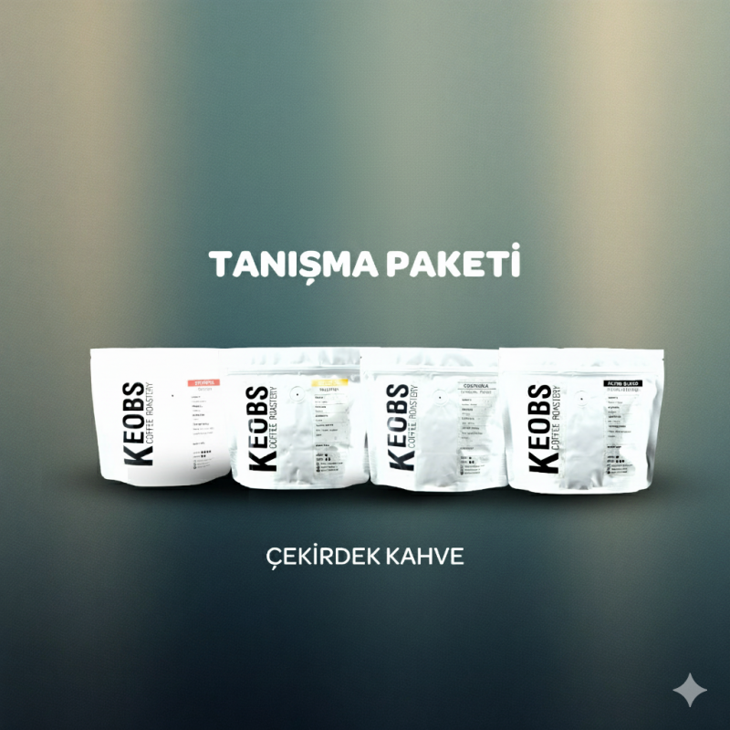 Keobs Tanışma Paketi 100er GR 4 Paket